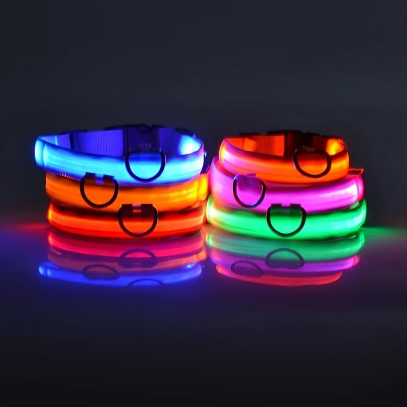 Glow In The Dark Dog Luminous Fluorescent Pet Collar