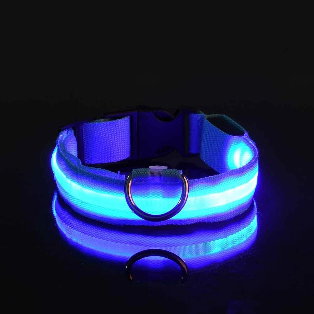 Glow In The Dark Dog Luminous Fluorescent Pet Collar