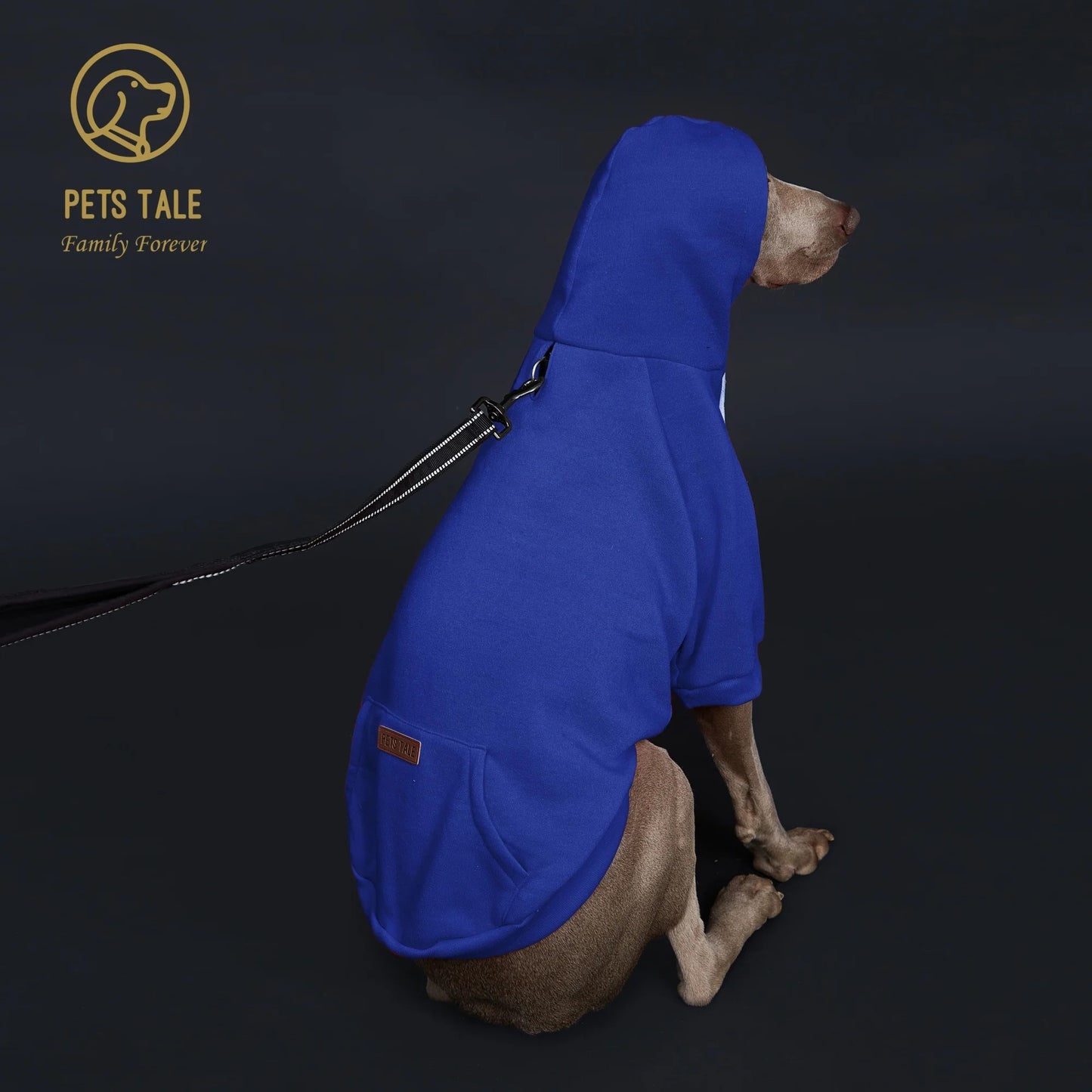 Solid Color Dog Hoodie with Pocket