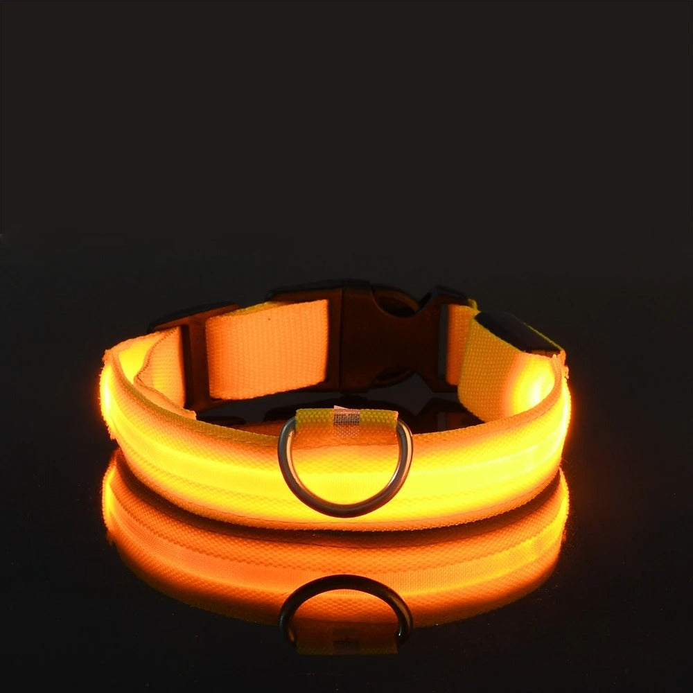 Glow In The Dark Dog Luminous Fluorescent Pet Collar