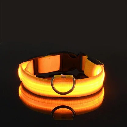 Glow In The Dark Dog Luminous Fluorescent Pet Collar