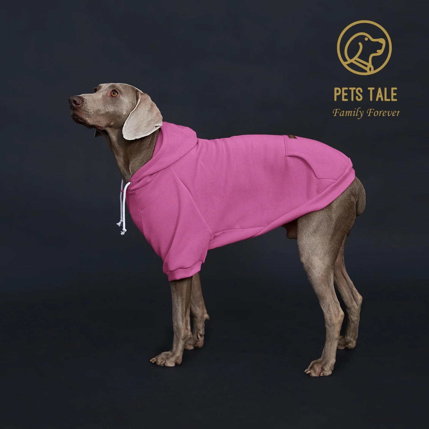 Solid Color Dog Hoodie with Pocket