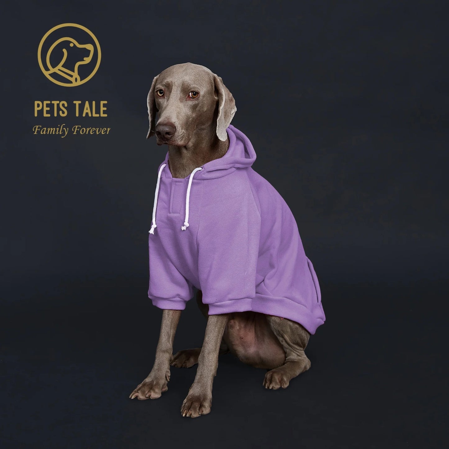 Solid Color Dog Hoodie with Pocket