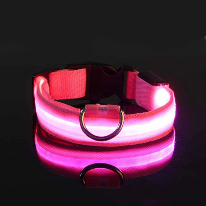 Glow In The Dark Dog Luminous Fluorescent Pet Collar
