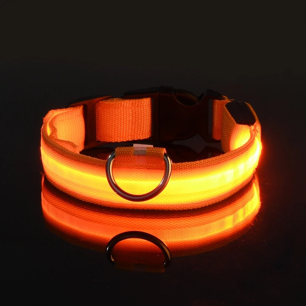 Glow In The Dark Dog Luminous Fluorescent Pet Collar