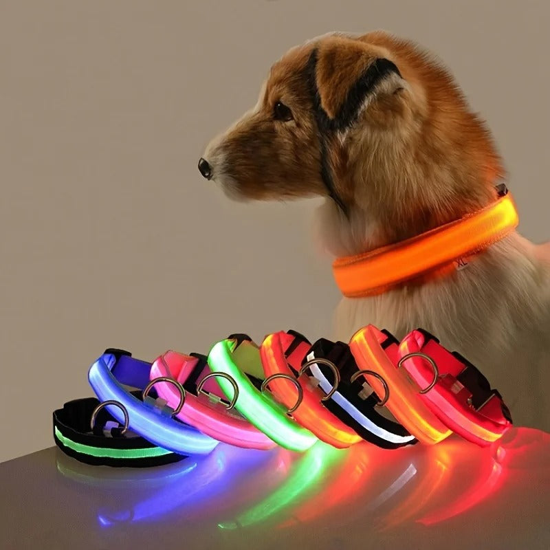 Glow In The Dark Dog Luminous Fluorescent Pet Collar