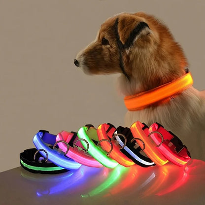 Glow In The Dark Dog Luminous Fluorescent Pet Collar