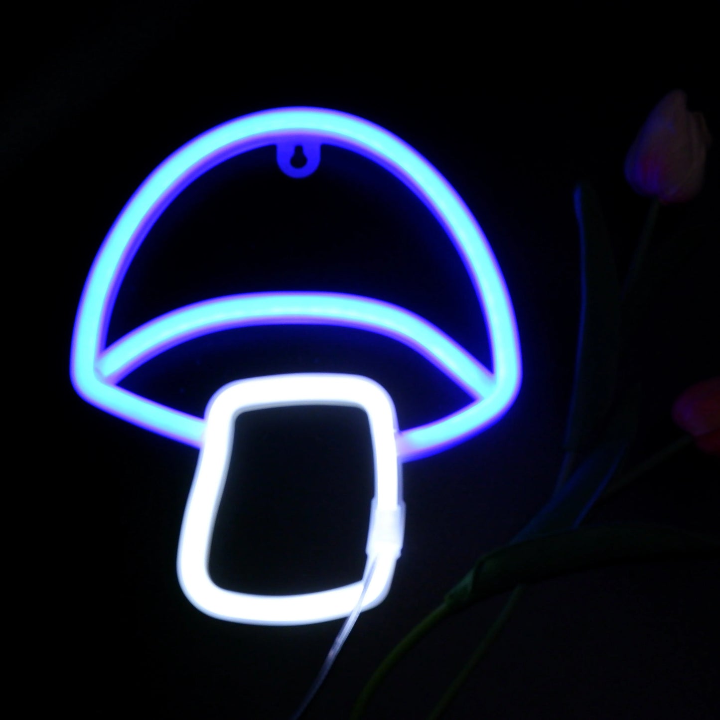 LED Neon Sign Customizable Lighting