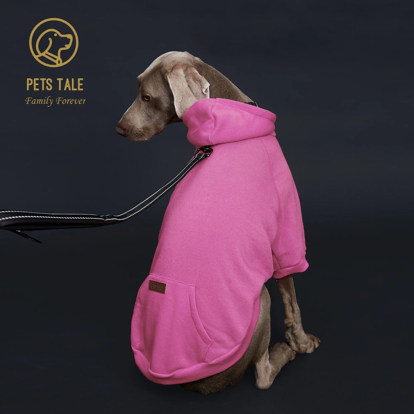 Solid Color Dog Hoodie with Pocket