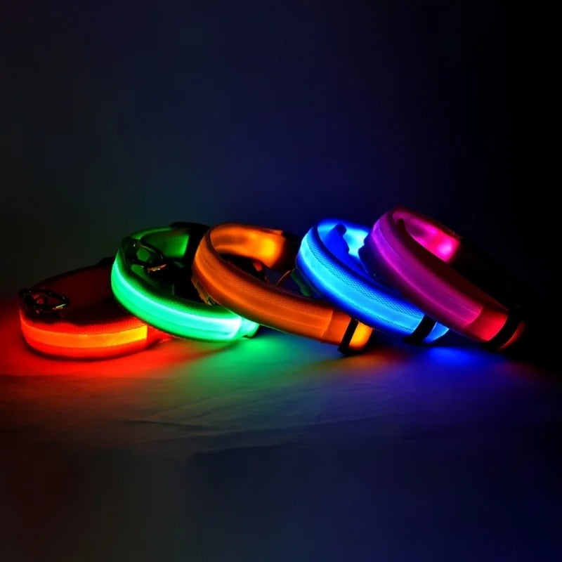 Glow In The Dark Dog Luminous Fluorescent Pet Collar