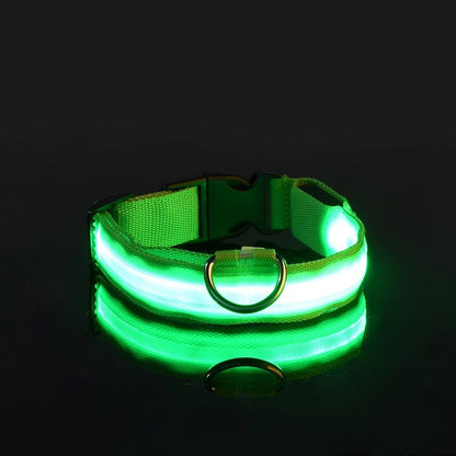Glow In The Dark Dog Luminous Fluorescent Pet Collar