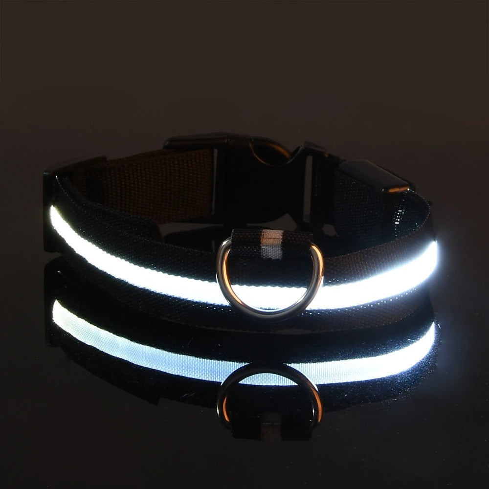 Glow In The Dark Dog Luminous Fluorescent Pet Collar