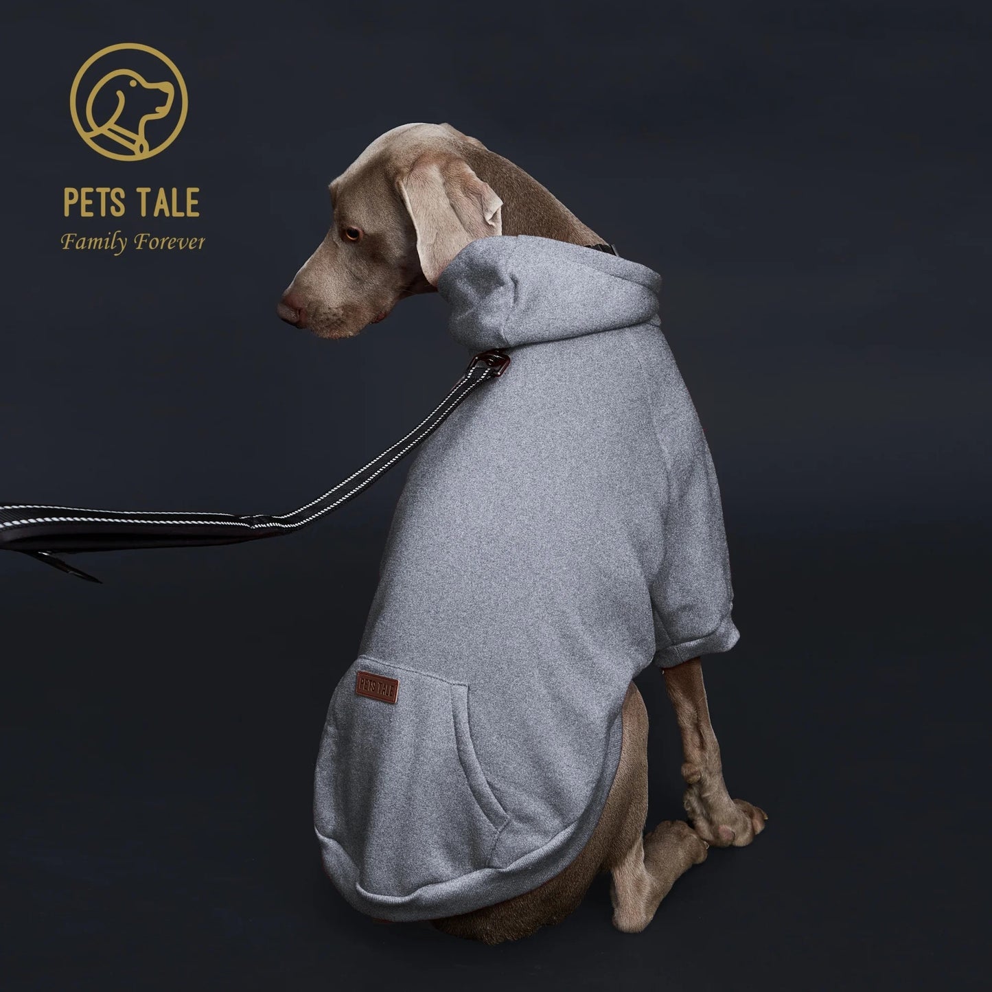 Solid Color Dog Hoodie with Pocket