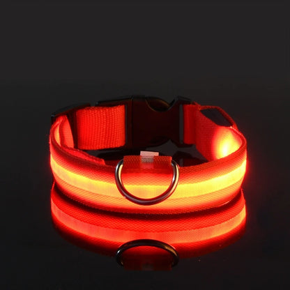 Glow In The Dark Dog Luminous Fluorescent Pet Collar